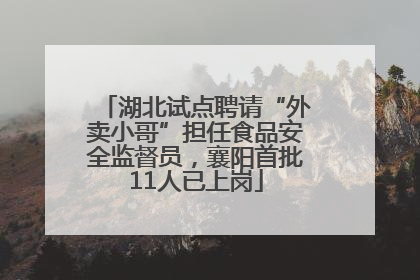 湖北试点聘请“外卖小哥”担任食品安全监督员，襄阳首批11人已上岗