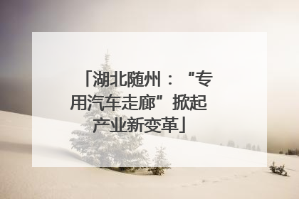 湖北随州：“专用汽车走廊”掀起产业新变革