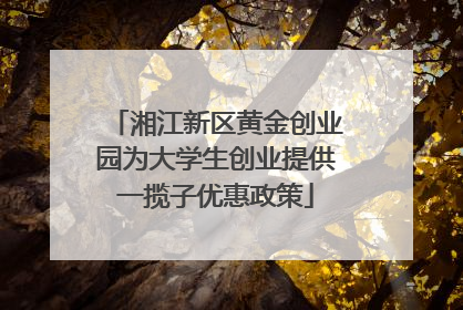 湘江新区黄金创业园为大学生创业提供一揽子优惠政策