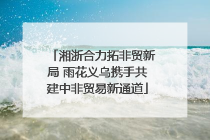 湘浙合力拓非贸新局 雨花义乌携手共建中非贸易新通道