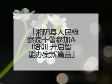 湘阴县人民检察院干警参加AI培训 开启智能办案新篇章