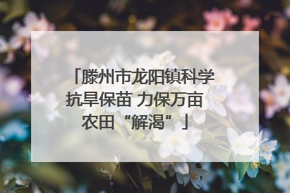 滕州市龙阳镇科学抗旱保苗 力保万亩农田“解渴”