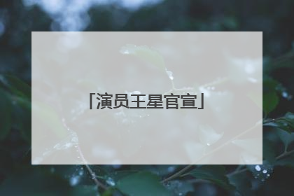 演员王星官宣