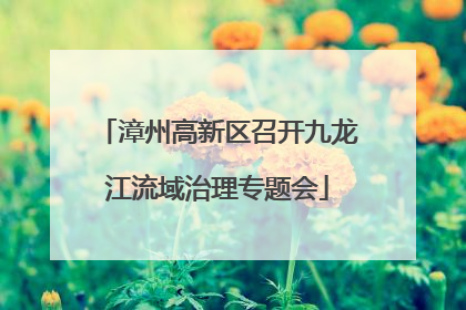 漳州高新区召开九龙江流域治理专题会