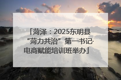 菏泽：2025东明县“菏力共治”第一书记·电商赋能培训班举办