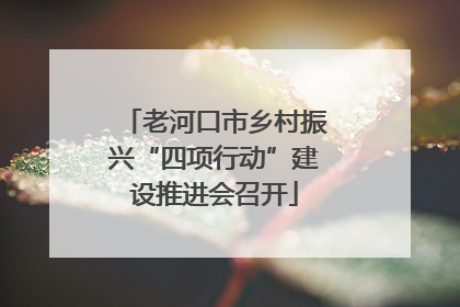 老河口市乡村振兴“四项行动”建设推进会召开