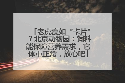 老虎瘦如“卡片”？北京动物园：饲料能保障营养需求，它体重正常，放心吧