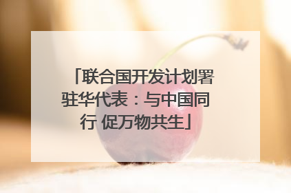 联合国开发计划署驻华代表：与中国同行 促万物共生