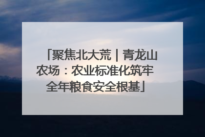 聚焦北大荒｜青龙山农场：农业标准化筑牢全年粮食安全根基
