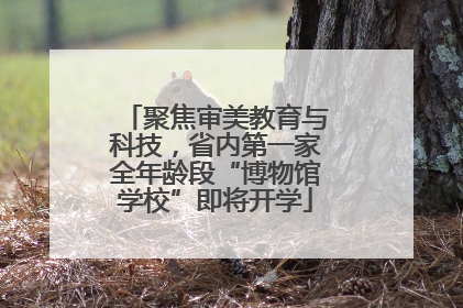 聚焦审美教育与科技，省内第一家全年龄段“博物馆学校”即将开学