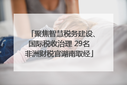 聚焦智慧税务建设、国际税收治理 29名非洲财税官湖南取经