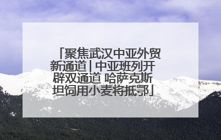 聚焦武汉中亚外贸新通道│中亚班列开辟双通道 哈萨克斯坦饲用小麦将抵鄂