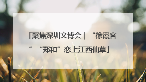 聚焦深圳文博会｜“徐霞客”“郑和”恋上江西仙草