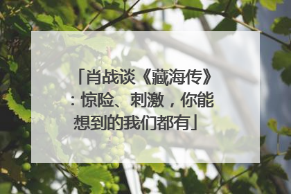 肖战谈《藏海传》：惊险、刺激，你能想到的我们都有