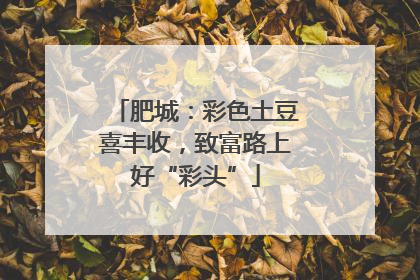 肥城：彩色土豆喜丰收，致富路上好“彩头”