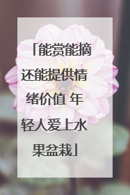 能赏能摘还能提供情绪价值 年轻人爱上水果盆栽