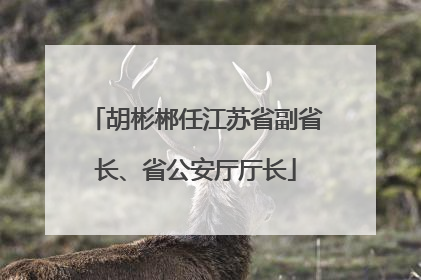 胡彬郴任江苏省副省长、省公安厅厅长