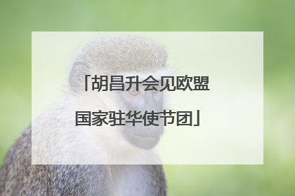 胡昌升会见欧盟国家驻华使节团