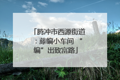 腾冲市西源街道：藤编小车间 “编”出致富路