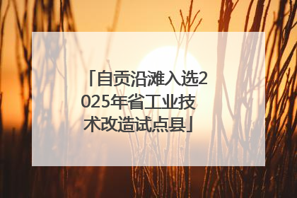 自贡沿滩入选2025年省工业技术改造试点县