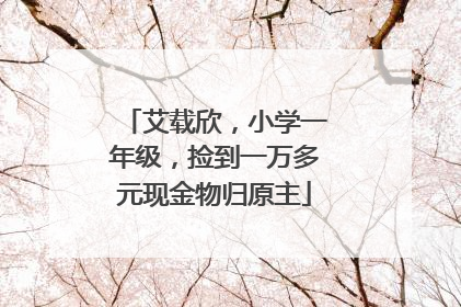 艾载欣，小学一年级，捡到一万多元现金物归原主