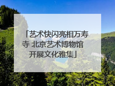 艺术快闪亮相万寿寺 北京艺术博物馆开展文化雅集