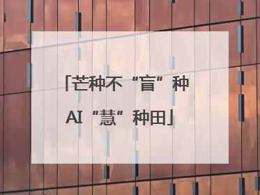 芒种不“盲”种 AI“慧”种田