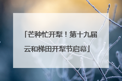 芒种忙开犁！第十九届云和梯田开犁节启幕
