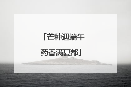 芒种遇端午 药香满夏都