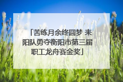苦练月余终圆梦 耒阳队勇夺衡阳市第三届职工龙舟赛金奖
