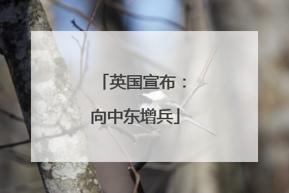 英国宣布：向中东增兵