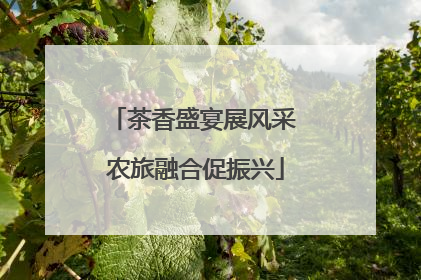 茶香盛宴展风采 农旅融合促振兴