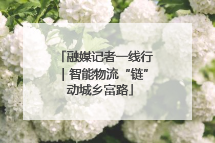 融媒记者一线行｜智能物流“链”动城乡富路