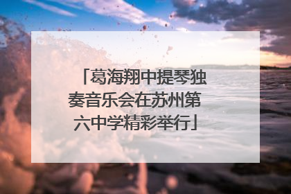 葛海翔中提琴独奏音乐会在苏州第六中学精彩举行