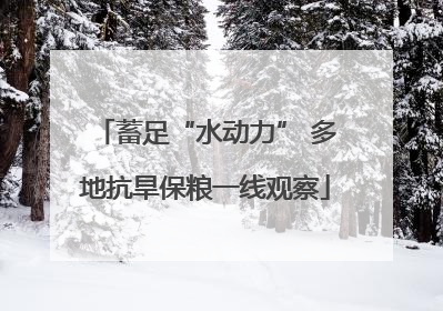 蓄足“水动力” 多地抗旱保粮一线观察