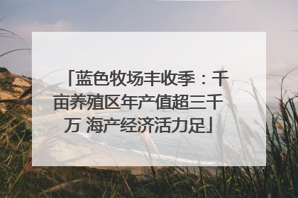 蓝色牧场丰收季：千亩养殖区年产值超三千万 海产经济活力足