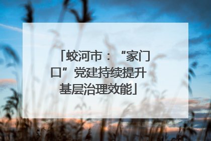 蛟河市：“家门口”党建持续提升基层治理效能