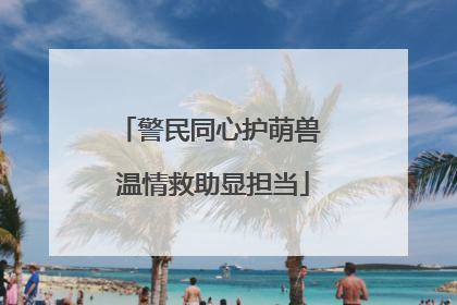 警民同心护萌兽 温情救助显担当