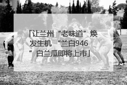 让兰州“老味道”焕发生机 “兰白946”白兰瓜即将上市