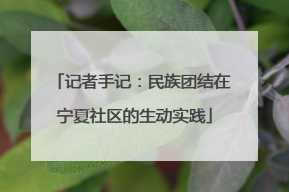 记者手记：民族团结在宁夏社区的生动实践