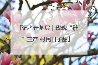 记者走基层｜玫瑰“链”三产 村民日子甜