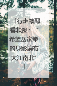 行走赣鄱看非遗：“希望岳家拳的身影遍布大江南北”