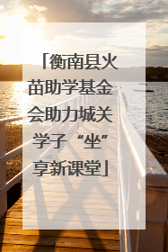 衡南县火苗助学基金会助力城关学子“坐”享新课堂