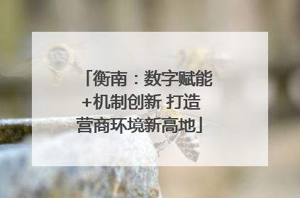 衡南：数字赋能+机制创新 打造营商环境新高地