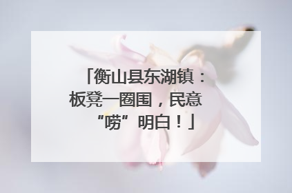 衡山县东湖镇：板凳一圈围，民意“唠”明白！
