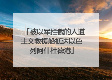 被以军拦截的人道主义救援船抵达以色列阿什杜德港