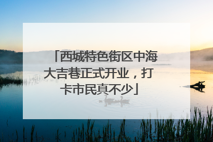 西城特色街区中海大吉巷正式开业，打卡市民真不少