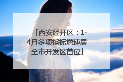 西安经开区：1-4月多项指标增速居全市开发区首位