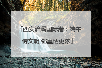 西安浐灞国际港：端午传文明 邻里情更浓