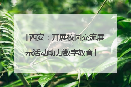 西安：开展校园交流展示活动助力数字教育